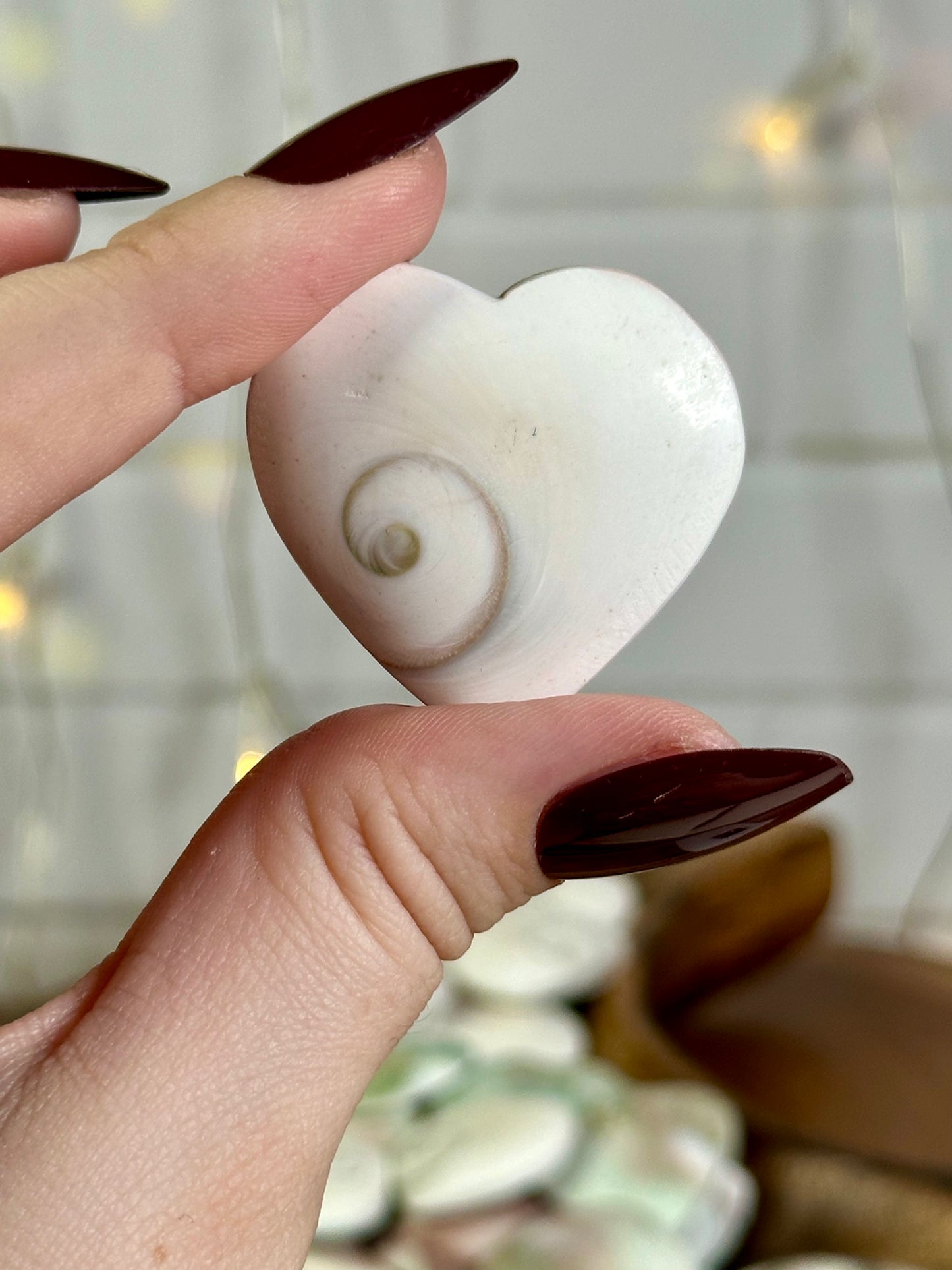 Shiva Shell Heart