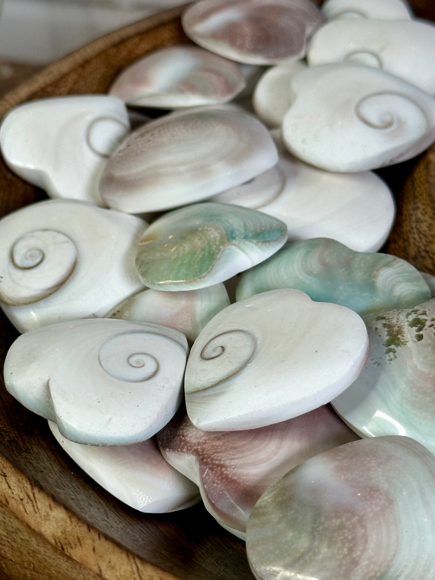 Shiva Shell Heart