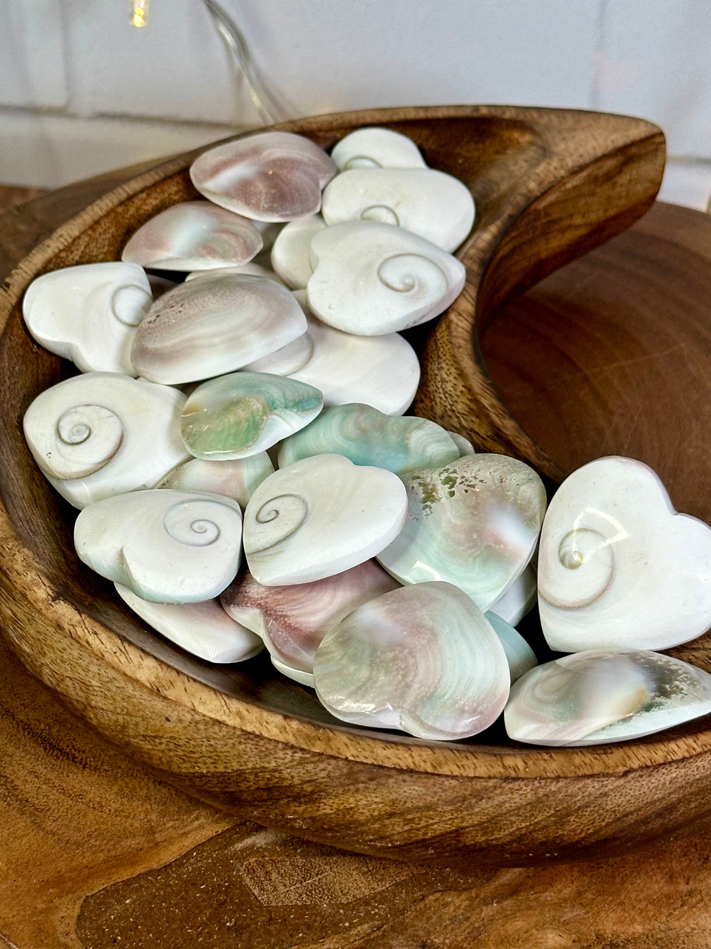 Shiva Shell Heart