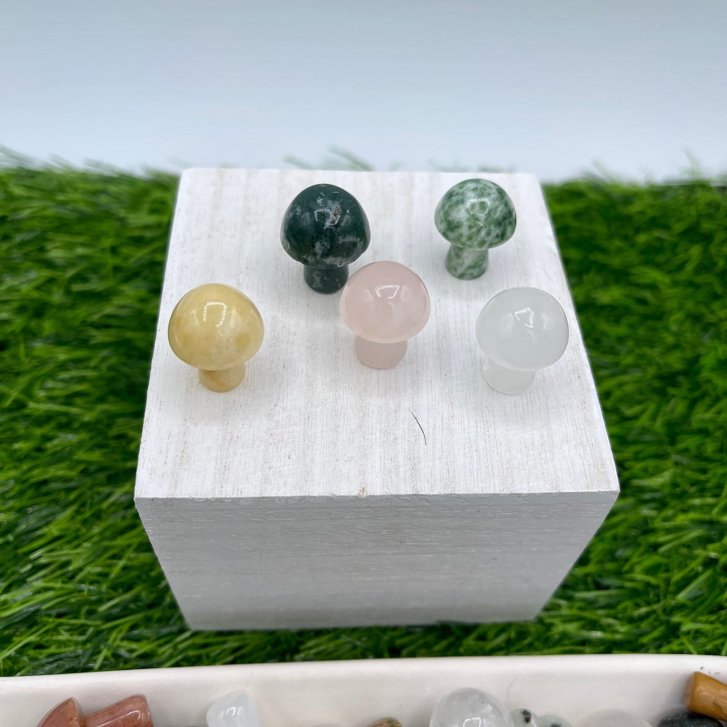 Mystery Mini Crystal Mushrooms