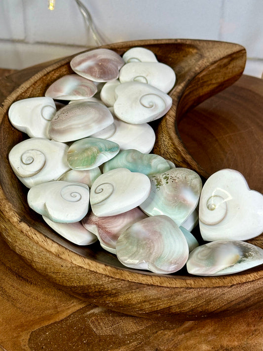 Shiva Shell Heart