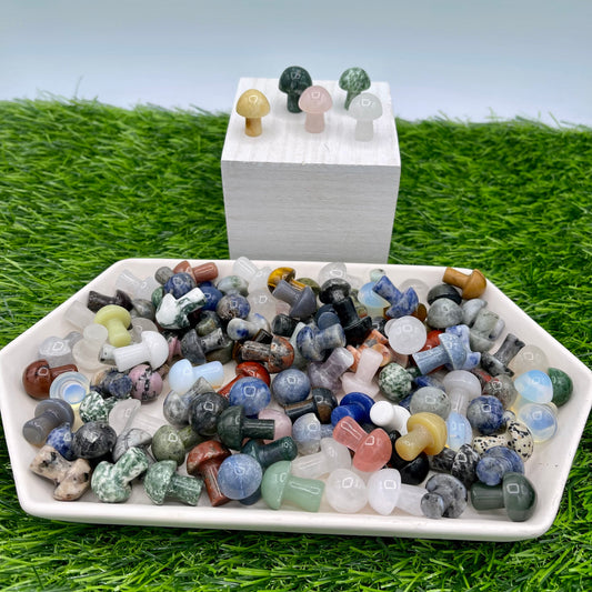 Mystery Mini Crystal Mushrooms